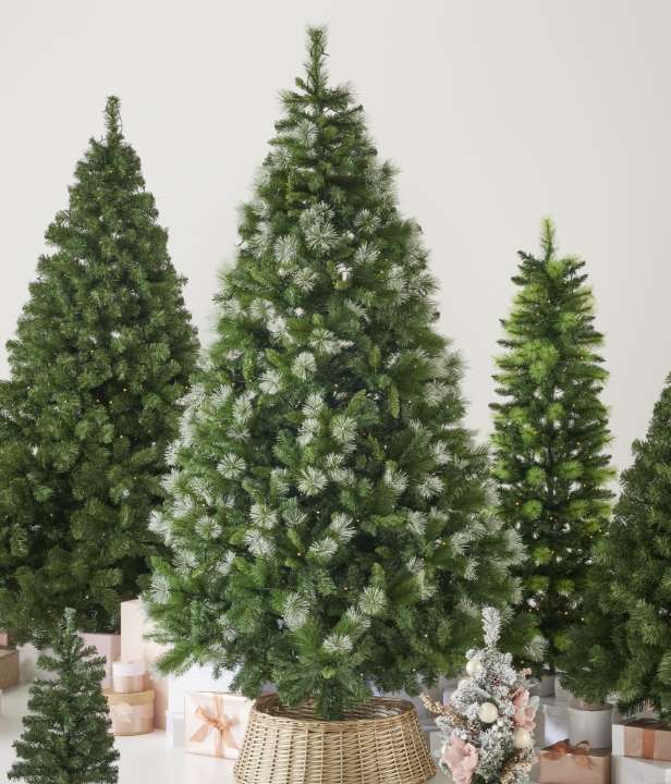 Shop All Christmas Trees