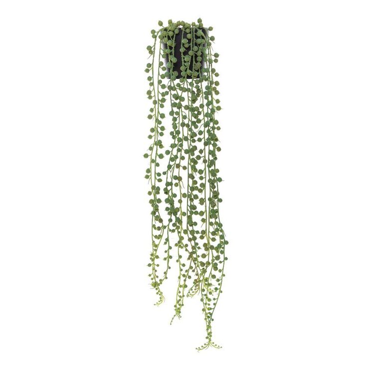 Rogue String of Pearls Garden Pot Green & Black 11 x 11 x 70 cm