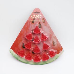Cooking With Colour Watermelon Shaped Reusable Ice Cubes