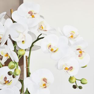 Cooper & Co Agnes 4 Stem 64 cm Faux Orchid White