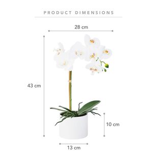 Cooper & Co Alva Single Stem 43 cm Faux Orchid White 43 cm
