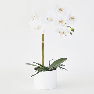 Cooper & Co Alva Single Stem 43 cm Faux Orchid White 43 cm