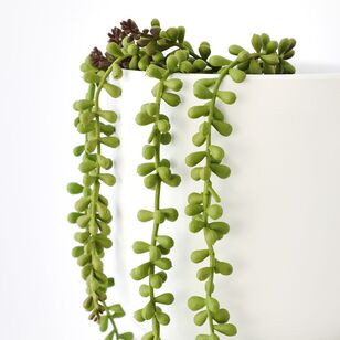 Cooper & Co String Of Pearls 38cm Faux House Plant Green 38 cm