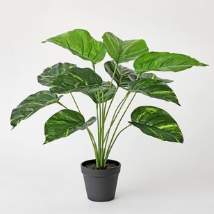 Cooper & Co Dieffenbachia 45 cm Faux House Plant Green 45 cm
