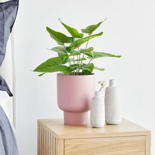 Cooper & Co Alcott Ceramic Planter Pot Pink 22 cm