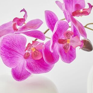 Cooper & Co Lina Decorative Orchid Spike Fuchsia 19 cm