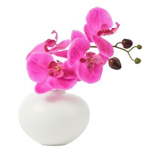Cooper & Co Lina Decorative Orchid Spike Fuchsia 19 cm