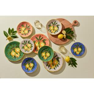 Maxwell & Williams Ceramica Salerno Limone 21 cm Pasta Bowl Terracotta