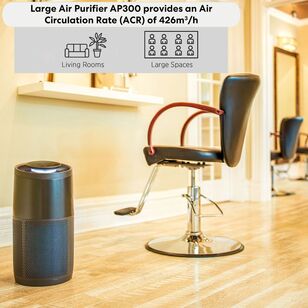 Instant Air Purifier Large AP300 150-0037-01-AU
